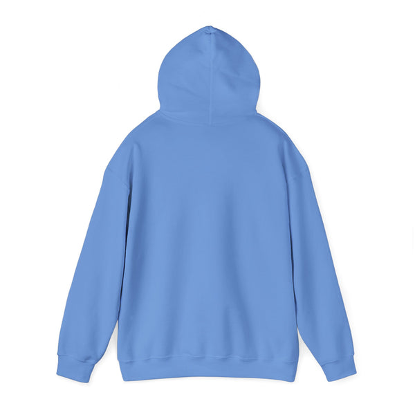 PoP! Unisex Hooded Sweatshirt - Healing Journey