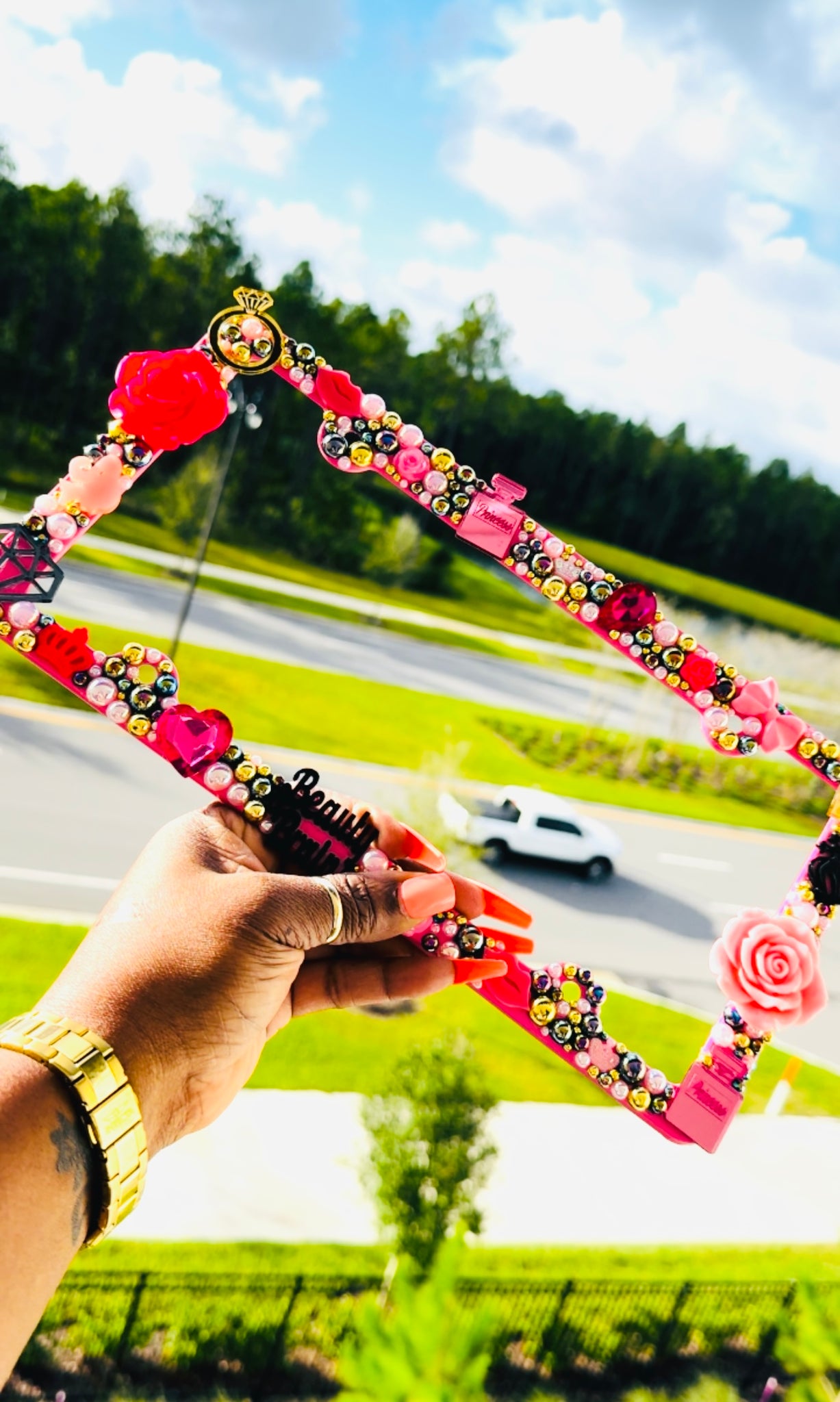 Girly Girl Custom License Plate Cover