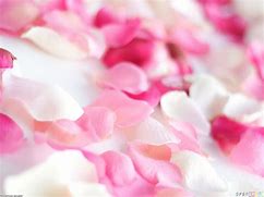 Hand Soap - Rose Petals