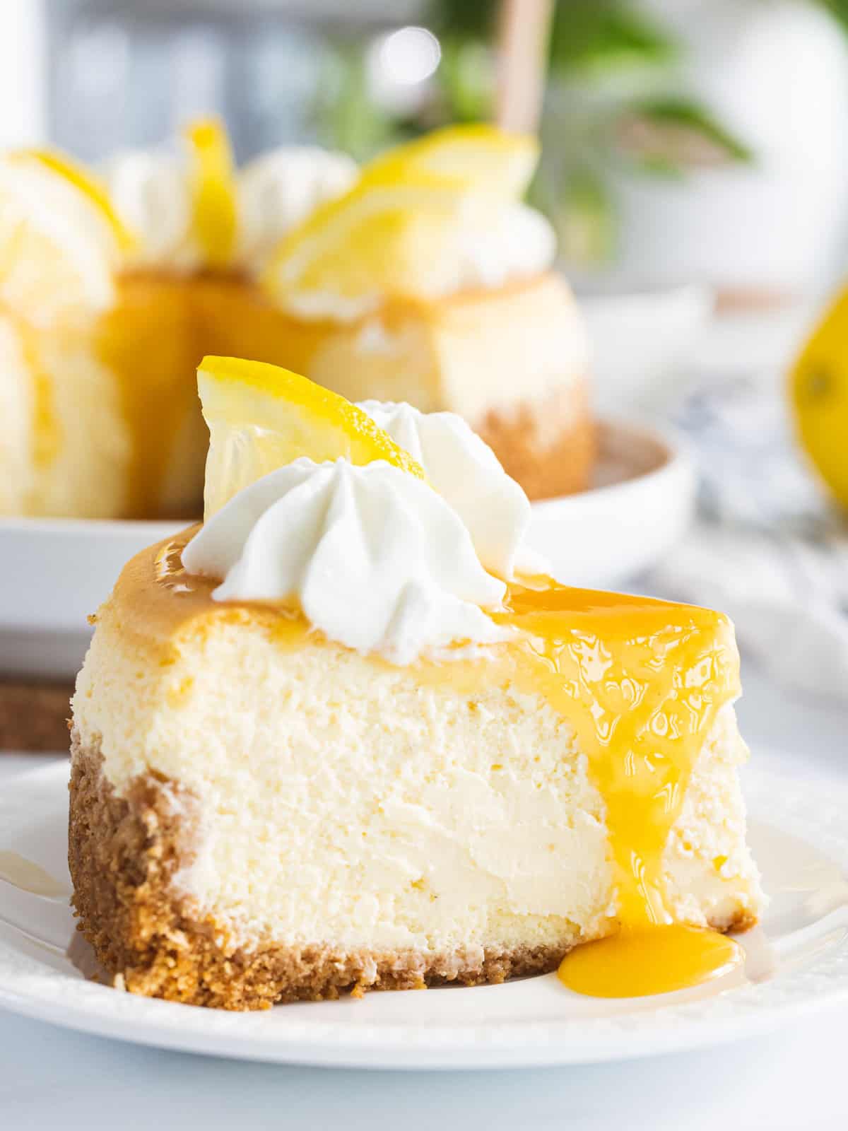 Lemon Cheesecake Whipped Body Butter